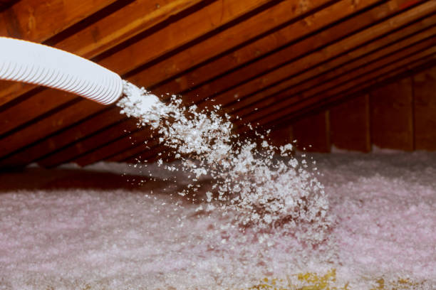 Best Insulation Maintenance and Repair in Nicholson, MS