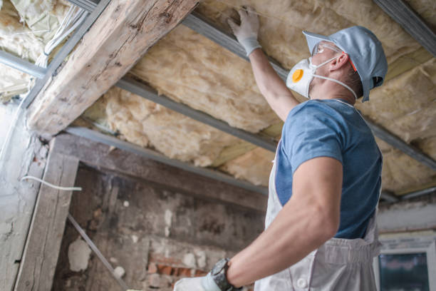 Best Insulation Materials and Products in Nicholson, MS