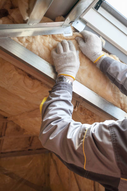 Best Insulation Installation Services in Nicholson, MS