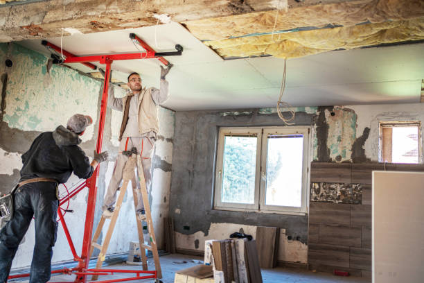 Best Types of Insulation in Nicholson, MS
