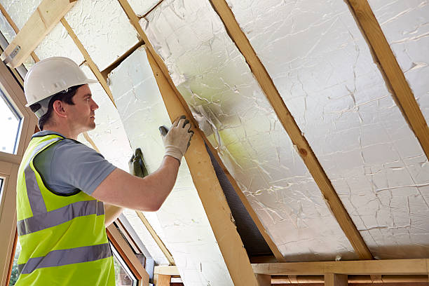 Best Specialty Insulation in Nicholson, MS